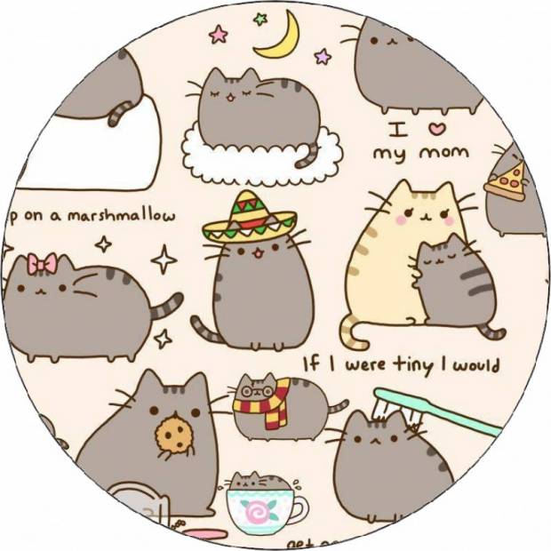 Jedlý papier Pusheen tapeta 19,5 cm - Pictu Hap