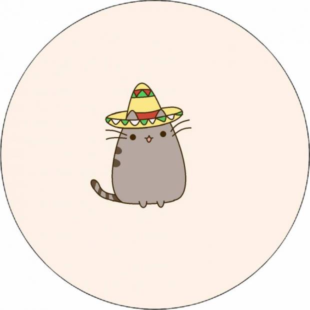 Pusheen v sombrere 19,5 cm - Pictu Hap