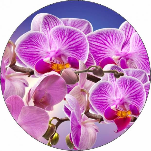 Jedlý papier fialová orchidea 19,5 cm - Pictu Hap