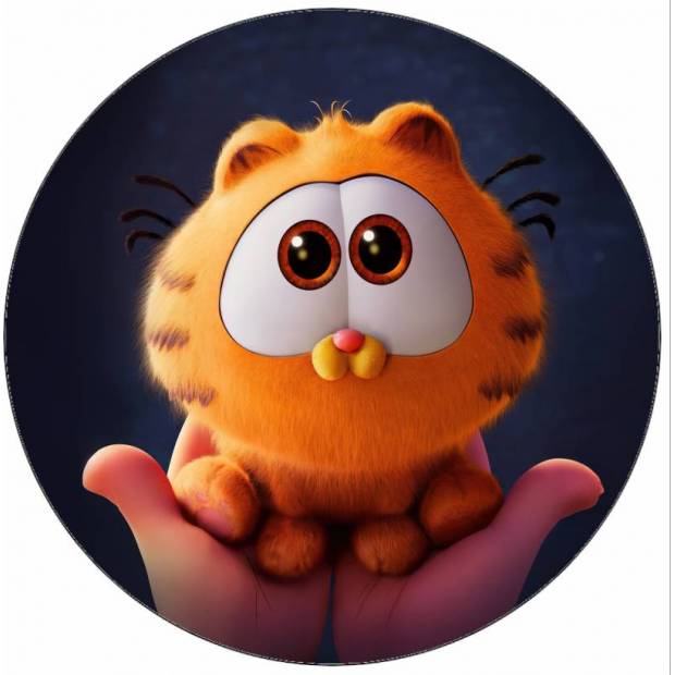 Jedlý papier Garfield mačiatko v dlaniach 19,5 cm - Pictu Hap