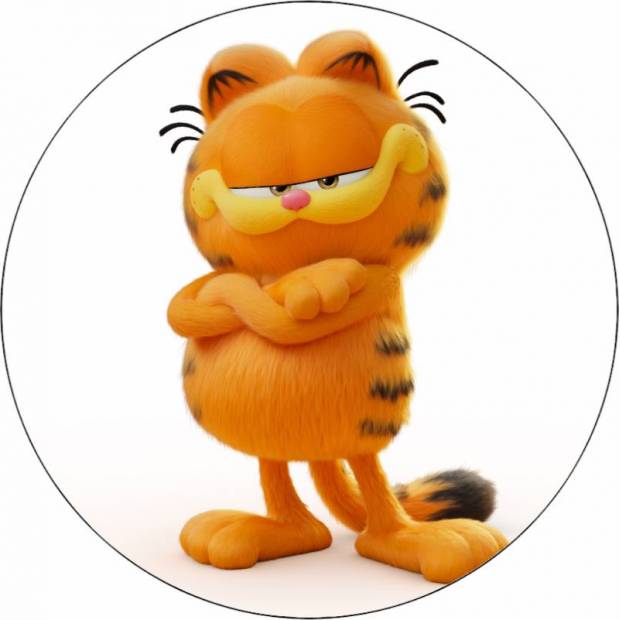 Kocúr z jedlého papiera Garfield 19,5 cm - Pictu Hap