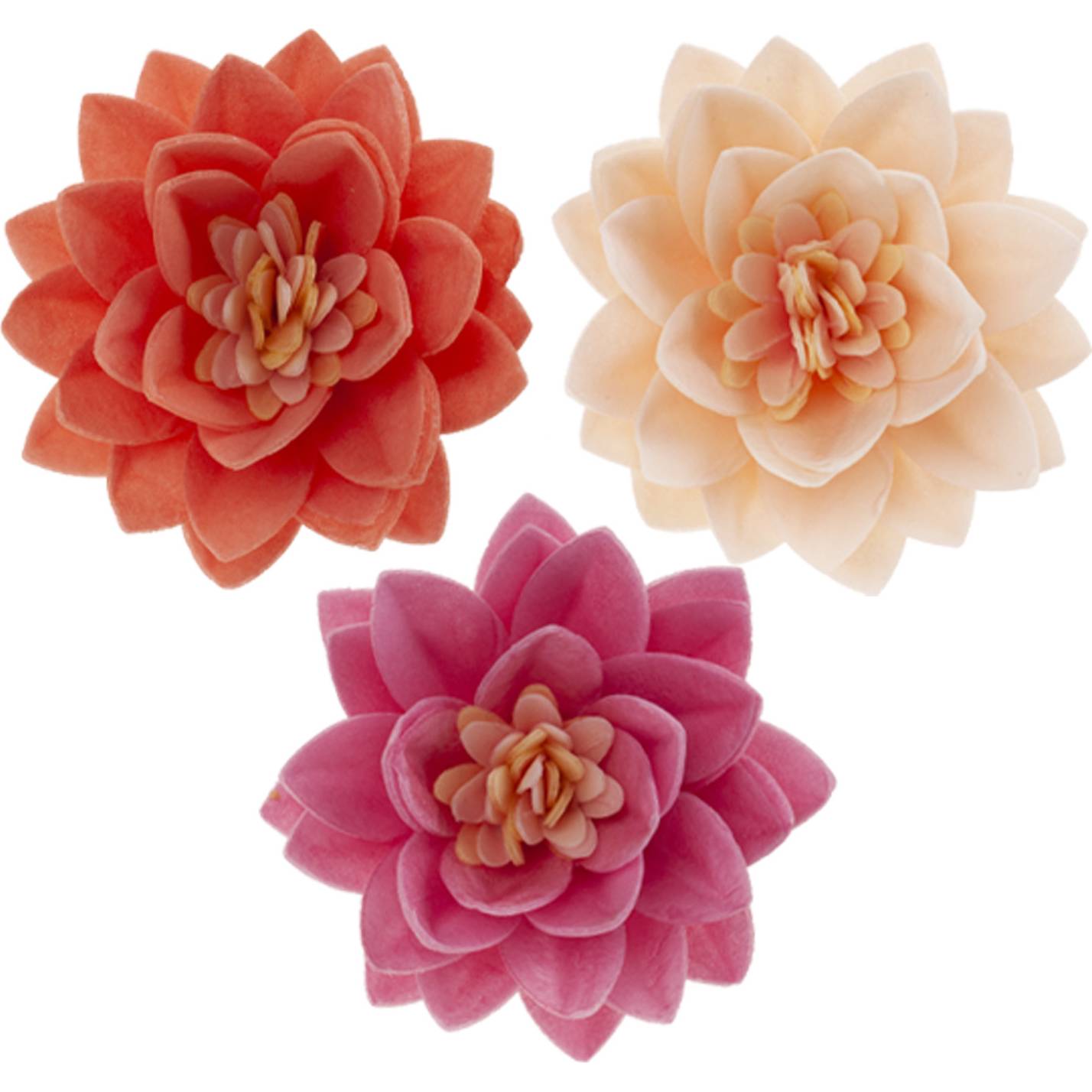 E-shop Jedlé cukrové květy 7cm 15ks barevné