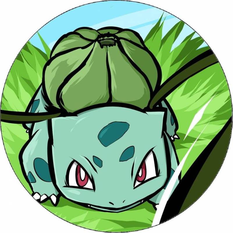 Pokémon Bulbasaur 19,5 cm - Pictu Hap - Pictu Hap